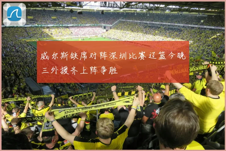 威尔斯缺席对阵深圳比赛辽篮今晚三外援齐上阵争胜