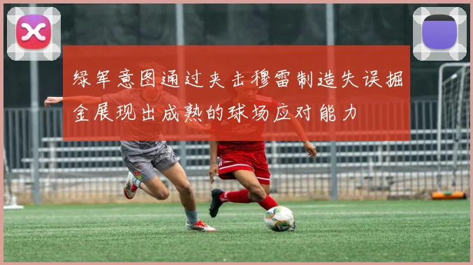 绿军意图通过夹击穆雷制造失误掘金展现出成熟的球场应对能力