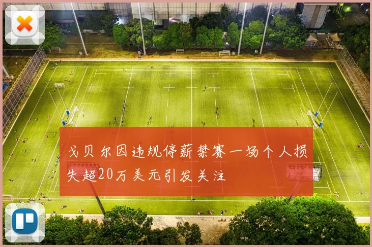 戈贝尔因违规停薪禁赛一场个人损失超20万美元引发关注