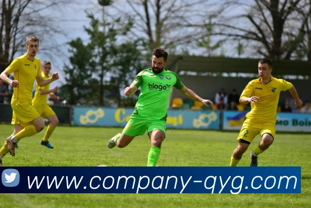 奇异果体育平台生态图