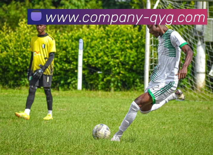 奇异果体育全站App